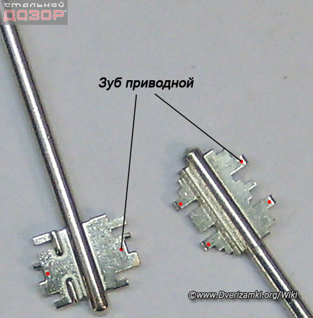Файл:Приводный-зуб-1.jpeg