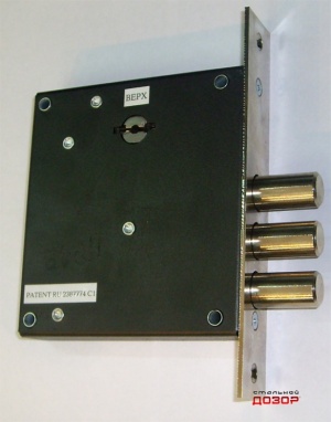 Polyvektor BP002.jpg