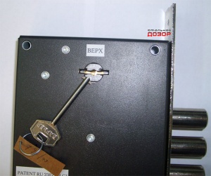 Polyvektor BP004.jpg
